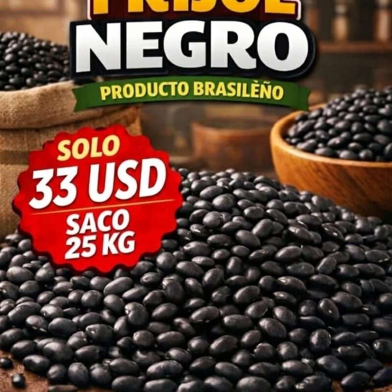 Frijol negro